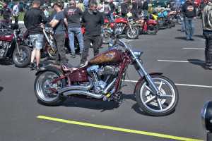 HARLEY (4)